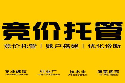 案例解读：网络推广竞价技巧